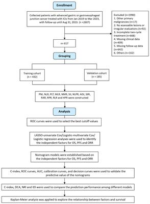 Analysis of the treatment efficacy and prognostic factors of PD-1/PD-L1 inhibitors for advanced gastric or gastroesophageal junction cancer: a multicenter, retrospective clinical study